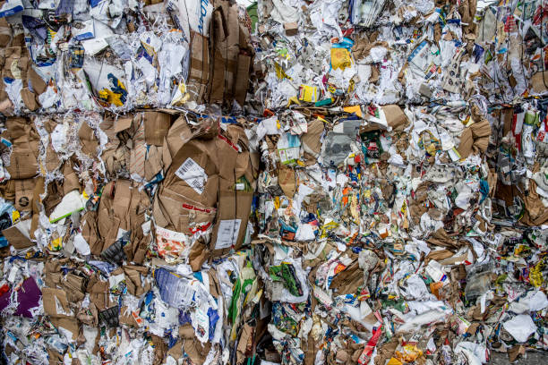 istock Separation of Cardboard at Garbage Recycling Center 858978918