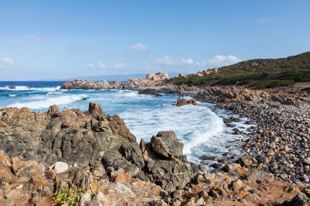 istock rocky coast and sea 858979012