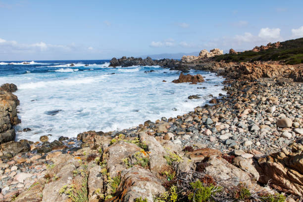 istock rocky coast and sea 858979018