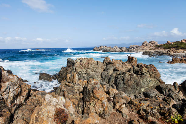 istock rocky coast and sea 858979022