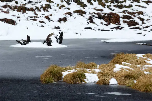 Frozen lake Juda talab.. Winter expedition , Himalayas