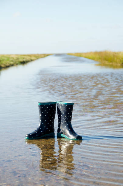 istock Blue children's rubber boots with white dots left alone in a watercourse running out of the ocean a watercourse in the Scandinavian nature 858994756