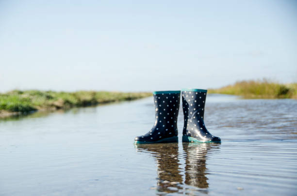 istock Blue children's rubber boots left alone in a watercourse running out from the ocean in the Scandinavian nature 858994946