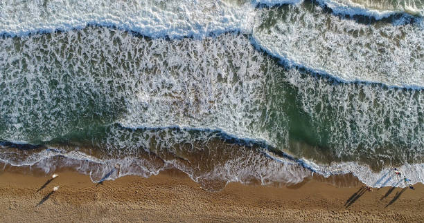 istock High angle view of people walking on the beach 858998622