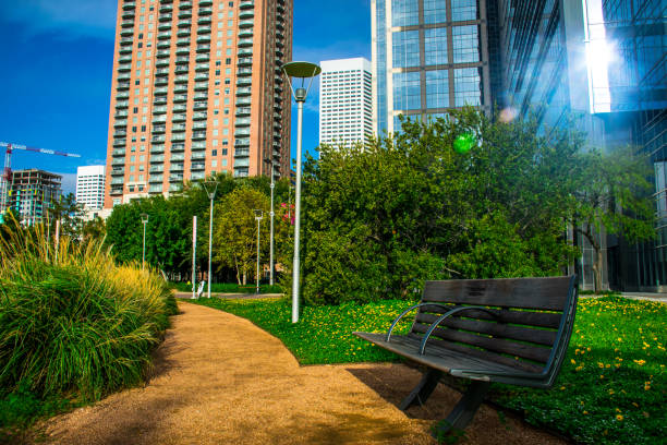 istock Open inviting park bench in Houston Texas on a gorgeous summer morning 859002424