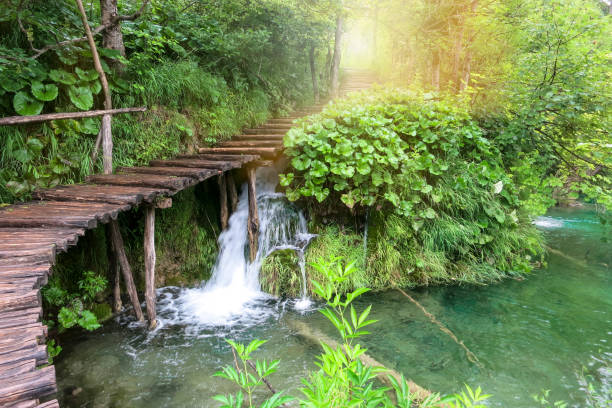 istock Plitvice Lakes nature wonderland 859002818