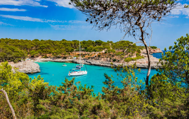 istock Beautiful bay with sailing yacht on Majorca island Spain 859005396