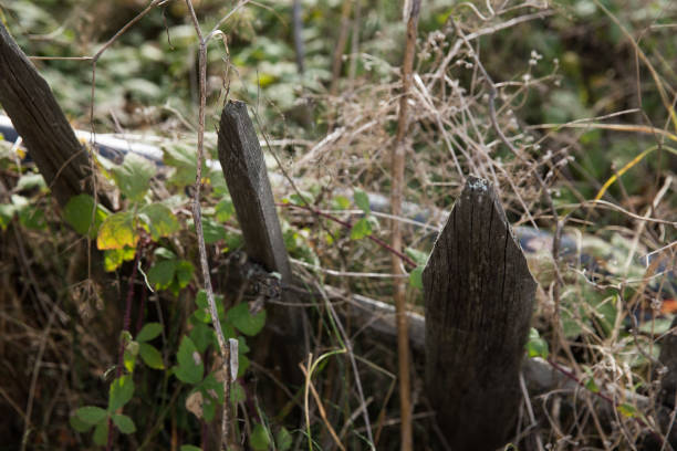 istock Detail old fence 859005796