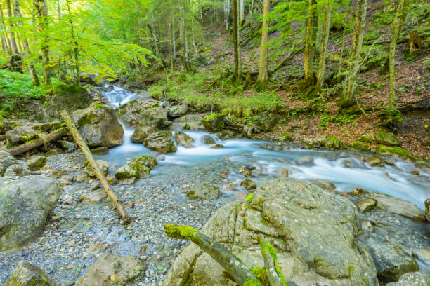 sentier de randonnée à gerstruben / bavière - longtime photos et images de collection