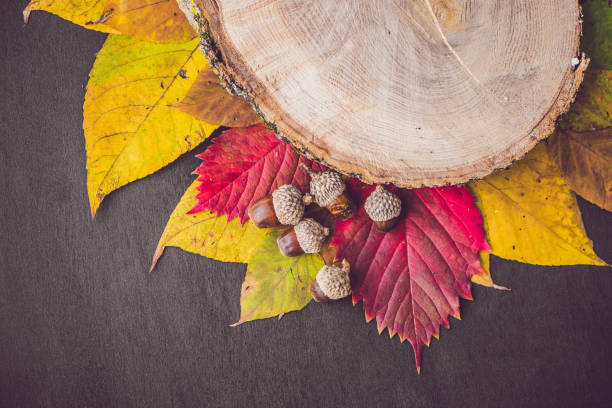 istock Autumn leaves over wooden background with copy space 859007302