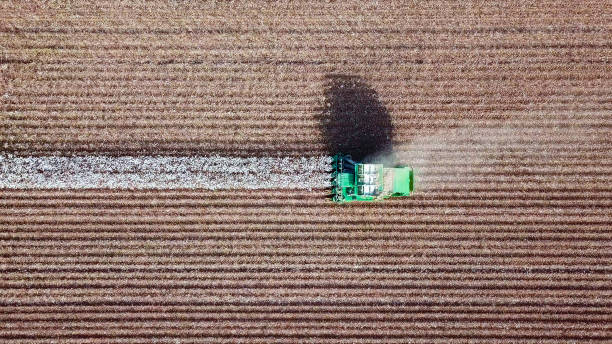 istock Aerial view of a Cotton picker working in a field. 859008044