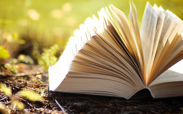 istock opened book in yellow autumn 859010290