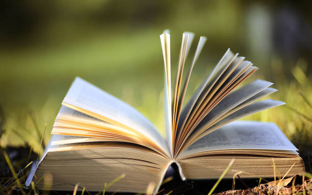 istock opened book in yellow autumn 859010576