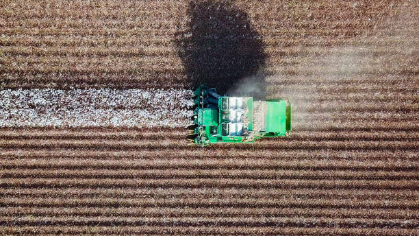 istock Aerial view of a Cotton picker working in a field. 859010746