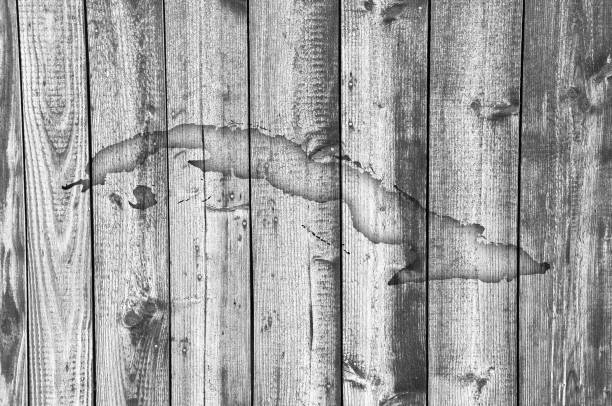 istock Map of Cuba on weathered wood 859011010