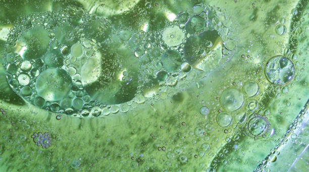 istock Macro Water & Oil Photography 859014662