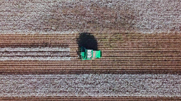 istock Aerial view of a Cotton picker working in a field. 859014742