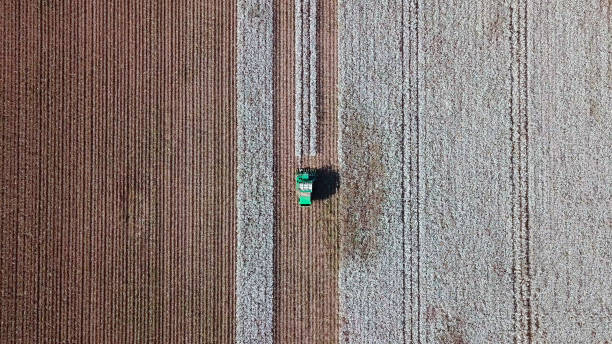 istock Aerial view of a Cotton picker working in a field. 859017054