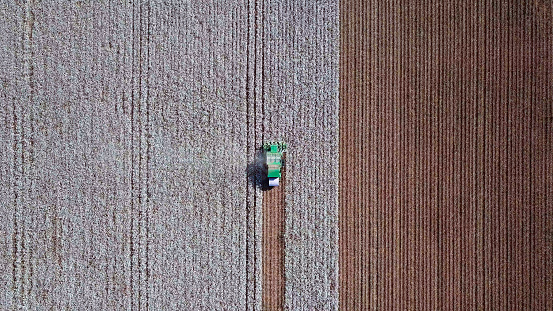 Vista aérea de un recogedor de algodón en un campo. photo