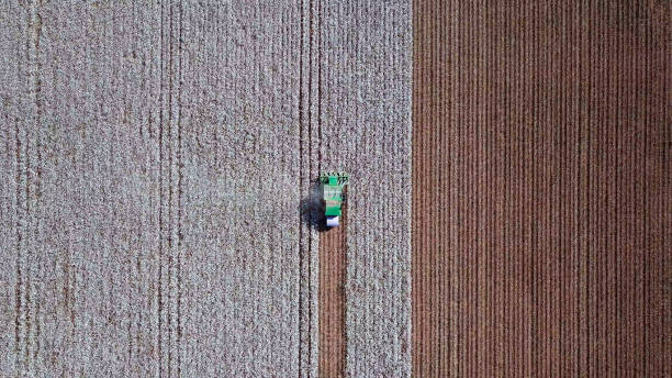 Aerial view of a Cotton picker working in a field. Aerial view of a Large green Cotton picker working in a field. cotton stock pictures, royalty-free photos & images