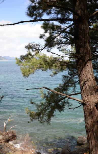 istock Coast at Kusadasi, Turkey 859020590
