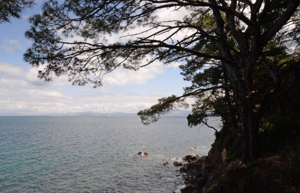 istock Coast at Kusadasi, Turkey 859020598