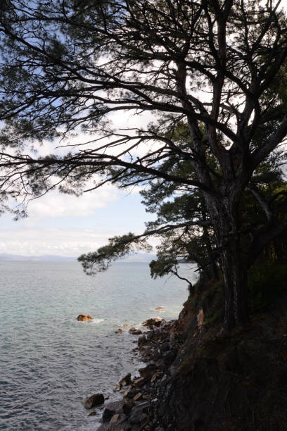 istock Coast at Kusadasi, Turkey 859021262