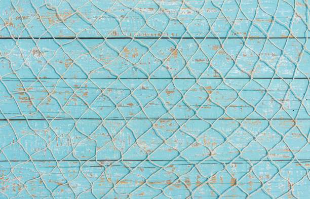 Fishing net texture over light blue wood, maritime background Maritime background, fishing net over light blue wooden boards. fish market stock pictures, royalty-free photos & images