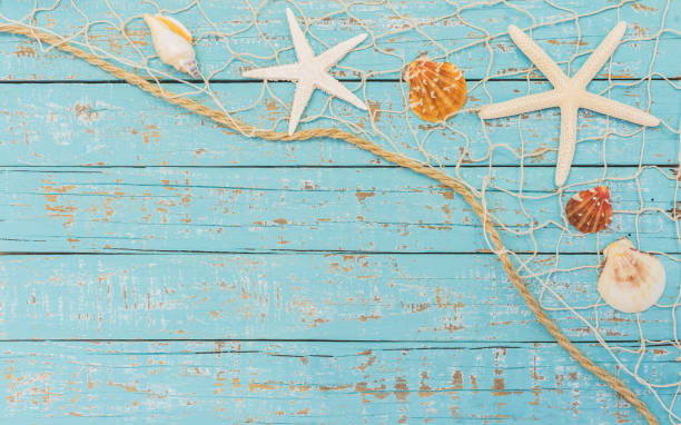 istock Starfish and Seashell in fishing net on light blue plank background 859029206