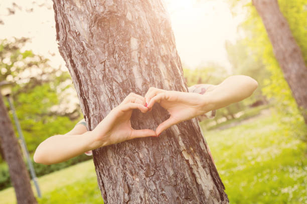 istock Heart - shape for the nature and environment. 859032812