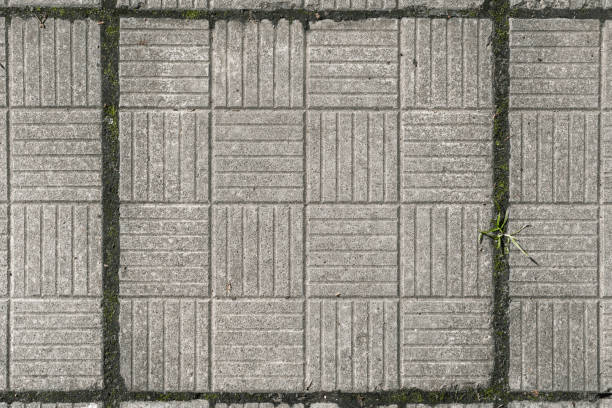 istock Gray street paving slab. Background and texture. 859033254