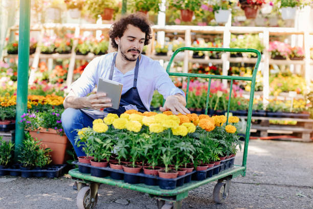 istock Quality control in the garden center 859044022