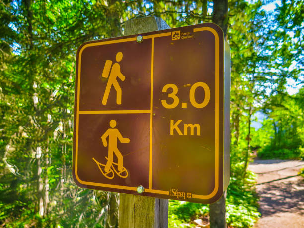 istock Visiting The Parc des Grands Jardins in Quebec, Canada 859050202