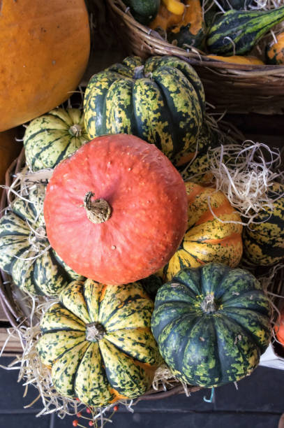 istock Assortment of decorative pumpkins 859054880
