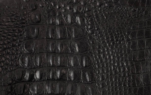 istock Texture crafted of black crocodile leather 859057562