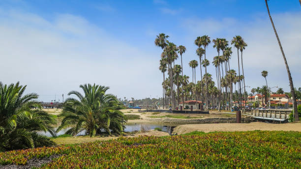 istock Exploring the Pacific Highway 1 in California, USA 859062456
