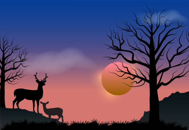 istock Deer and sunset, autumn season nature background 859072532
