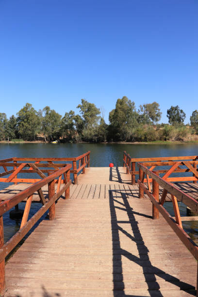 istock wooden pier on big lake surrounded by trees 859072660