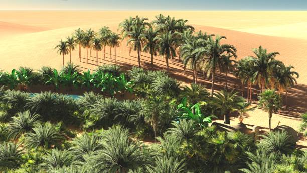 istock Beautiful natural background -African oasis 3d rendering 859073682