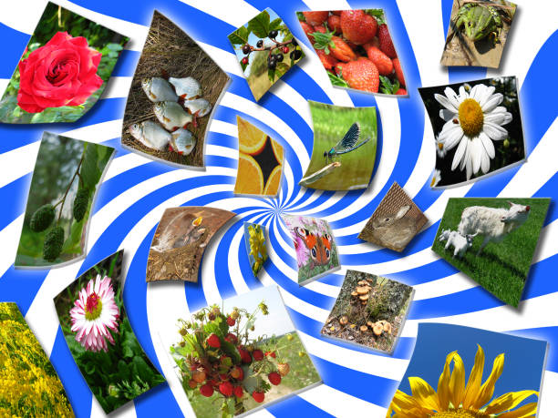 istock collage with set of photo 859077398