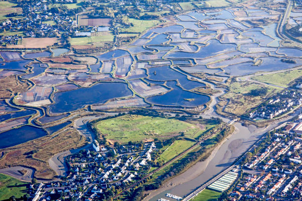 istock Flight on the Atlantic coast, Loire estuary and salt marsh 859080010