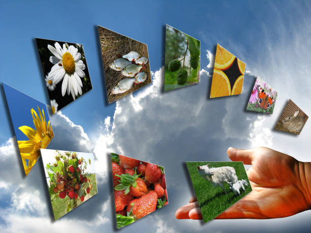 istock collage with set of a photo 859080082