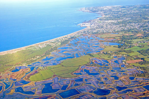 istock Flight on the Atlantic coast, Loire estuary and salt marsh 859080276