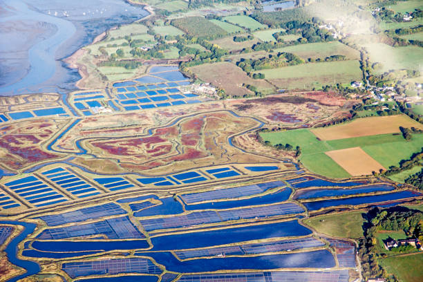 istock Flight on the Atlantic coast, Loire estuary and salt marsh 859080418