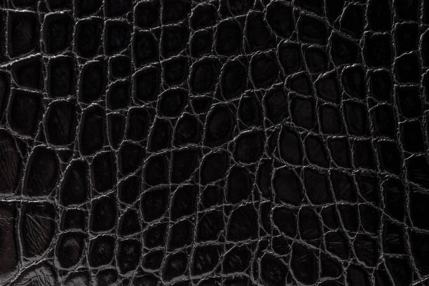 istock the texture of the skin is gray 859080502