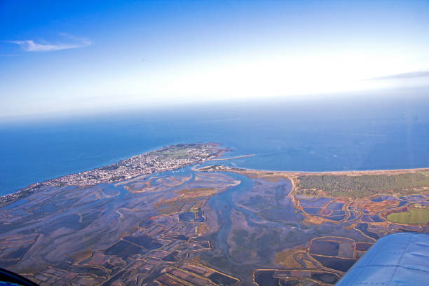 istock Flight on the Atlantic coast, Loire estuary and salt marsh 859083514