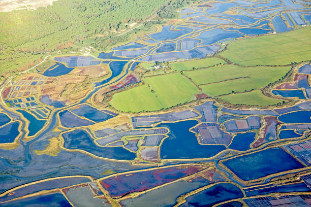istock Flight on the Atlantic coast, Loire estuary and salt marsh 859083718