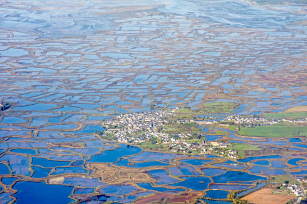 istock Flight on the Atlantic coast, Loire estuary and salt marsh 859083788