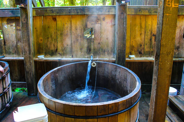 istock Natural Hot Tub 859083948
