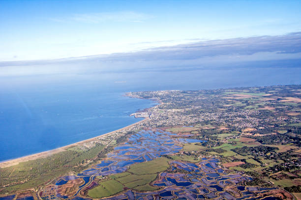 istock Flight on the Atlantic coast, Loire estuary and salt marsh 859087042
